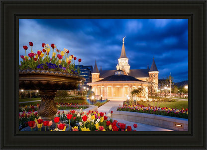 Provo City Center - April Showers Bring May Flowers