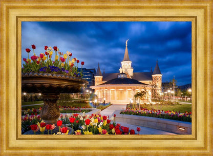 Provo City Center - April Showers Bring May Flowers