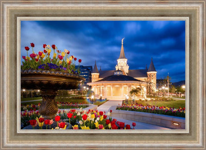 Provo City Center - April Showers Bring May Flowers