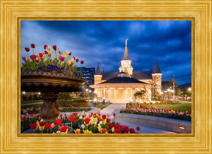 Provo City Center - April Showers Bring May Flowers