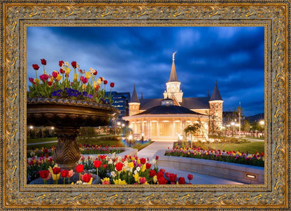 Provo City Center - April Showers Bring May Flowers