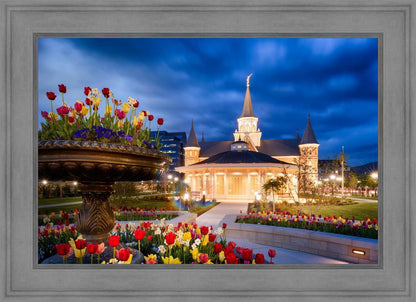 Provo City Center - April Showers Bring May Flowers