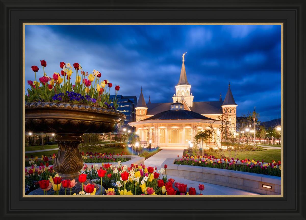 Provo City Center - April Showers Bring May Flowers