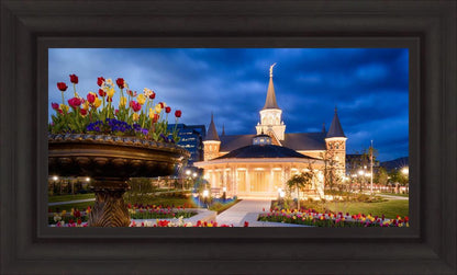 Provo City Center - April Showers Bring May Flowers