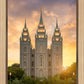 Salt Lake Golden