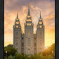 Salt Lake Golden