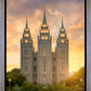 Salt Lake Golden