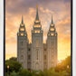 Salt Lake Golden