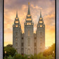 Salt Lake Golden