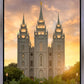 Salt Lake Golden