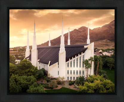 Las Vegas Desert Oasis Aerial