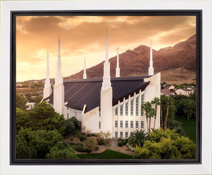 Las Vegas Desert Oasis Aerial