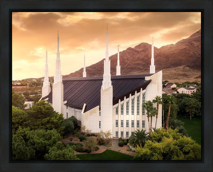 Las Vegas Desert Oasis Aerial