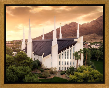 Las Vegas Desert Oasis Aerial