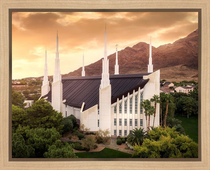 Las Vegas Desert Oasis Aerial