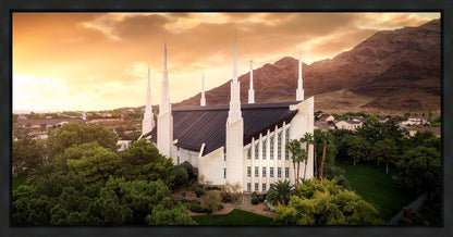 Las Vegas Desert Oasis Aerial