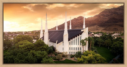 Las Vegas Desert Oasis Aerial