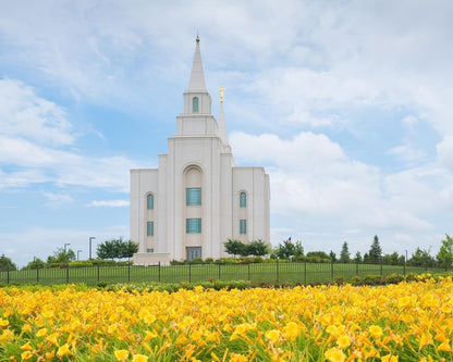 Blue and Gold Kansas City