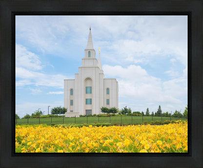 Blue and Gold Kansas City