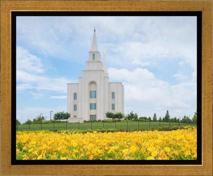 Blue and Gold Kansas City