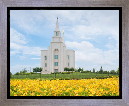 Blue and Gold Kansas City