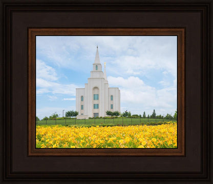 Blue and Gold Kansas City