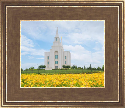 Blue and Gold Kansas City