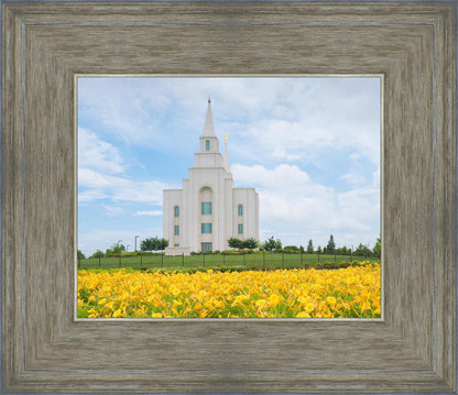 Blue and Gold Kansas City