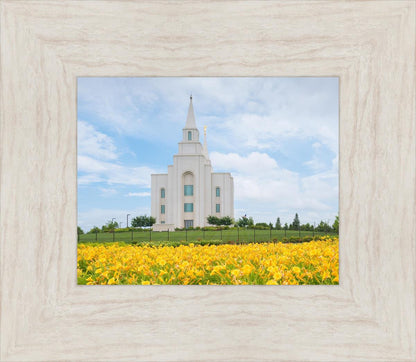 Blue and Gold Kansas City