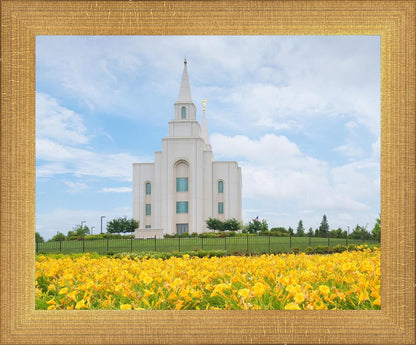 Blue and Gold Kansas City