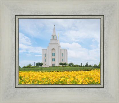 Blue and Gold Kansas City