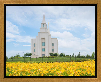 Blue and Gold Kansas City