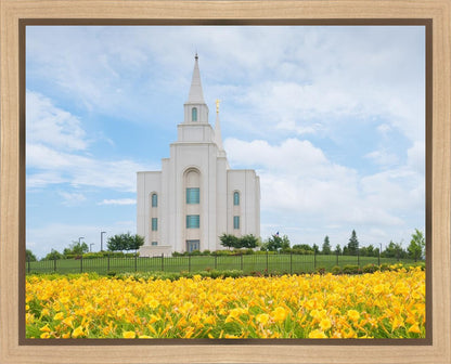 Blue and Gold Kansas City