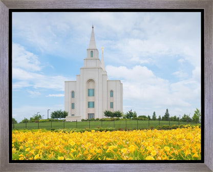 Blue and Gold Kansas City