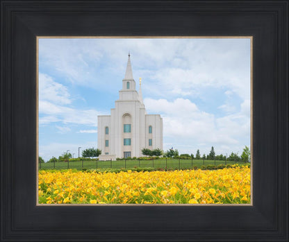 Blue and Gold Kansas City