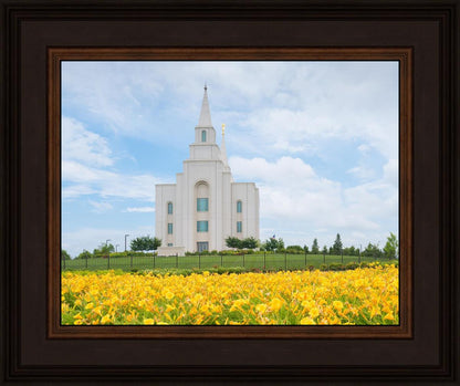 Blue and Gold Kansas City