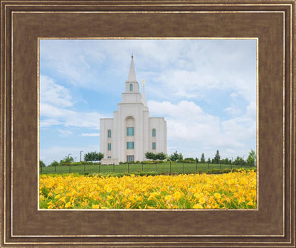 Blue and Gold Kansas City