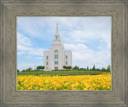 Blue and Gold Kansas City