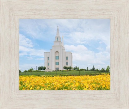 Blue and Gold Kansas City