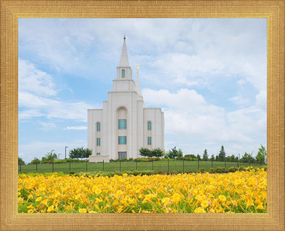 Blue and Gold Kansas City