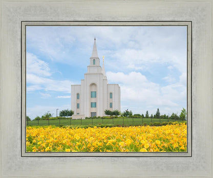 Blue and Gold Kansas City