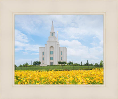 Blue and Gold Kansas City