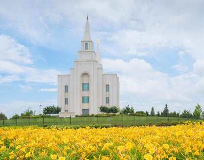 Blue and Gold Kansas City