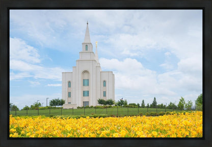 Blue and Gold Kansas City
