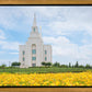 Blue and Gold Kansas City