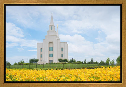 Blue and Gold Kansas City