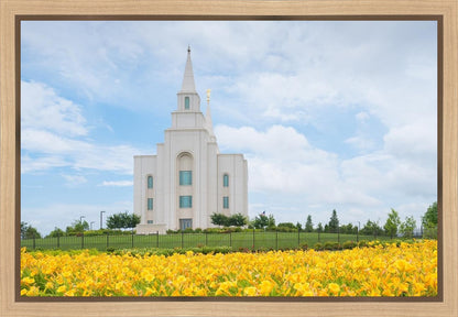 Blue and Gold Kansas City