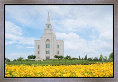 Blue and Gold Kansas City