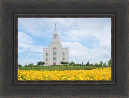 Blue and Gold Kansas City