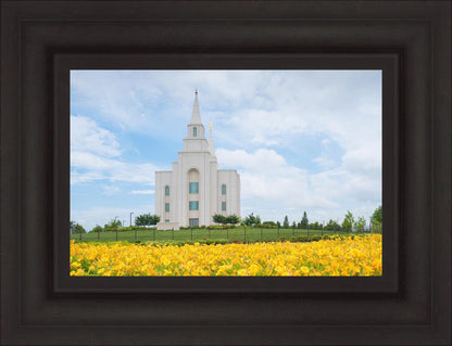 Blue and Gold Kansas City